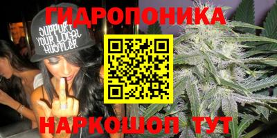 сатива Волжск